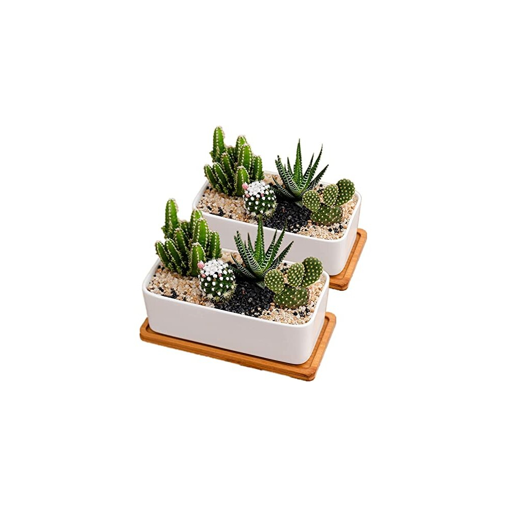 White Ceramic Plant Pots Indoor, Succulent Plant Pot Small Plant Pots for Home Office Decoration(rectangular-set of 2)