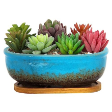 Succulent Plant Pot - 20 CM Rectangular Planters for Indoor Plants Ceramic Bonsai Pot with Drainage Tray Small Flower Plant Pot Home Garden Window Box