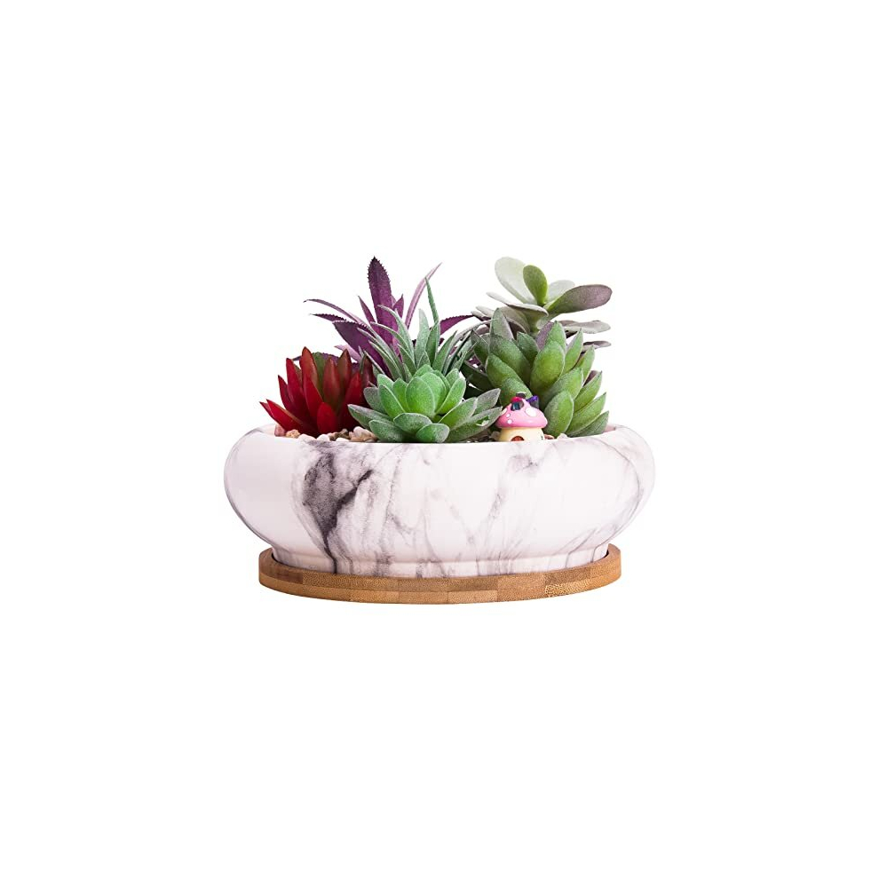 Succulent Plant Pots, 18.5 CM Large Bonsai Pots with Drainage Tray, Marble Shallow Flower Pots Ceramic Pots for Indoor Cactus Plants