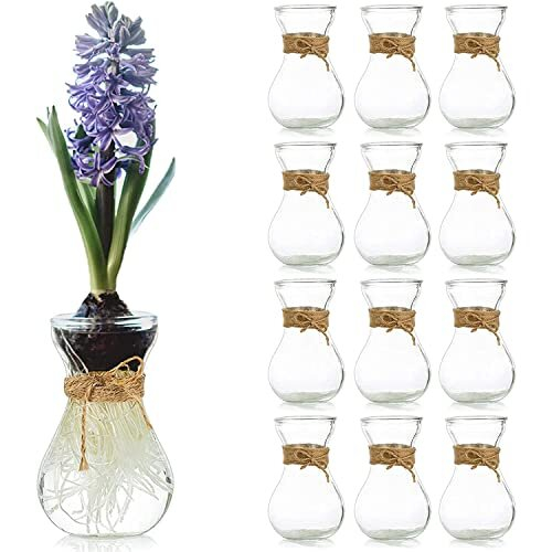 Small Glass Vase For Flowers - Hewory 12 Pcs Clear Small Vases For ...