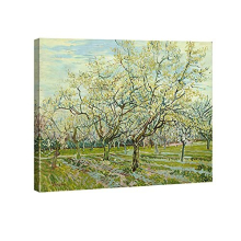 - The White Orchard by Van Gogh Famous Oil Paintings Reproduction Modern Stretched and Framed Landscapes Artworks Giclee Canvas Prints Green Pictures