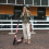 (Pink) Adult Kick Scooter with Double Shock Absorption 3
