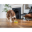 JML JML Woof Glider Dog Toy 6