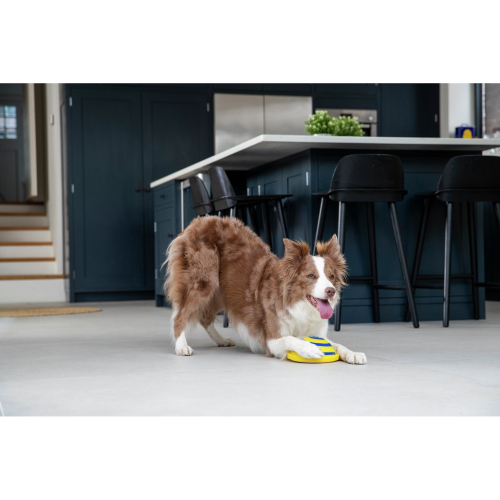 JML JML Woof Glider Dog Toy 2