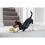 JML JML Woof Glider Dog Toy 8