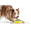 JML JML Woof Glider Dog Toy 5