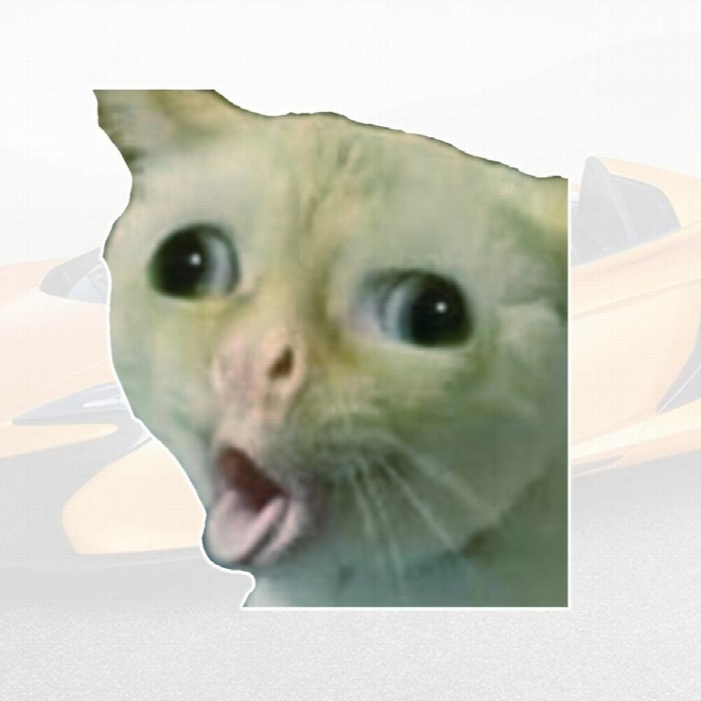 1Pc Funny Coughing Cat Meme Sticker Vinyl Waterproof Sticker Sticker For Car Laptop Wall Window Bumper Sticker 885680456787