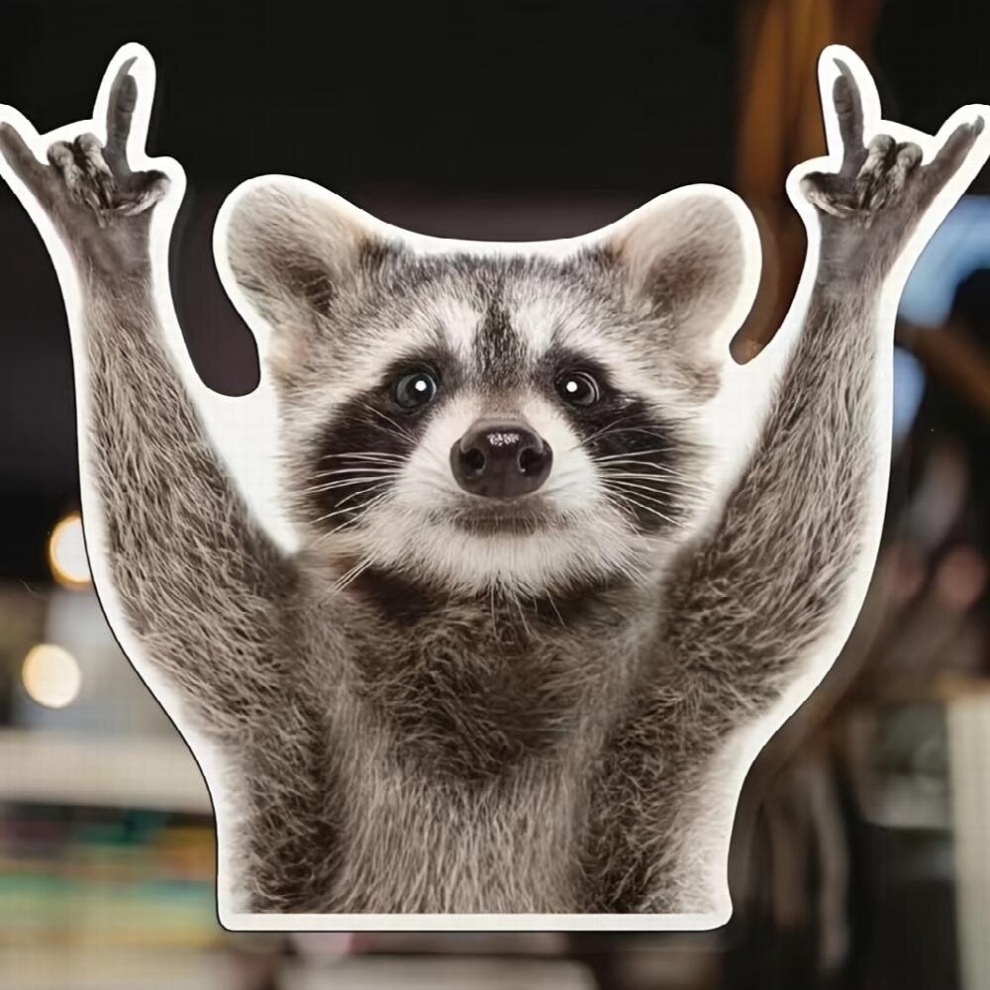 1Pc Rocking Raccoon Sticker Funny Raccoon Car Laptop Wall Window Bumper Sticker 885680458675