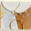 100pcs Earring Backing Plastic Earring Strap Pad Plastic Earring Back Replacement Soft Jewelry Accessories 6