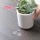 200pcs Dots Of Waterproof Double sided Adhesive 7
