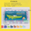Magnetic Sponge Alphabet Childrens Learning Textbook 3