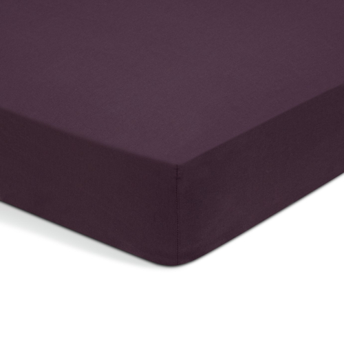 Habitat Cotton Rich 180 TC Grape Fitted Sheet - Single 1