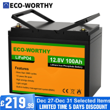 ECO-WORTHY 12V 100AH Lifepo4 Battery Rechargeable 4000 Deep Cycle Solar Panel RV