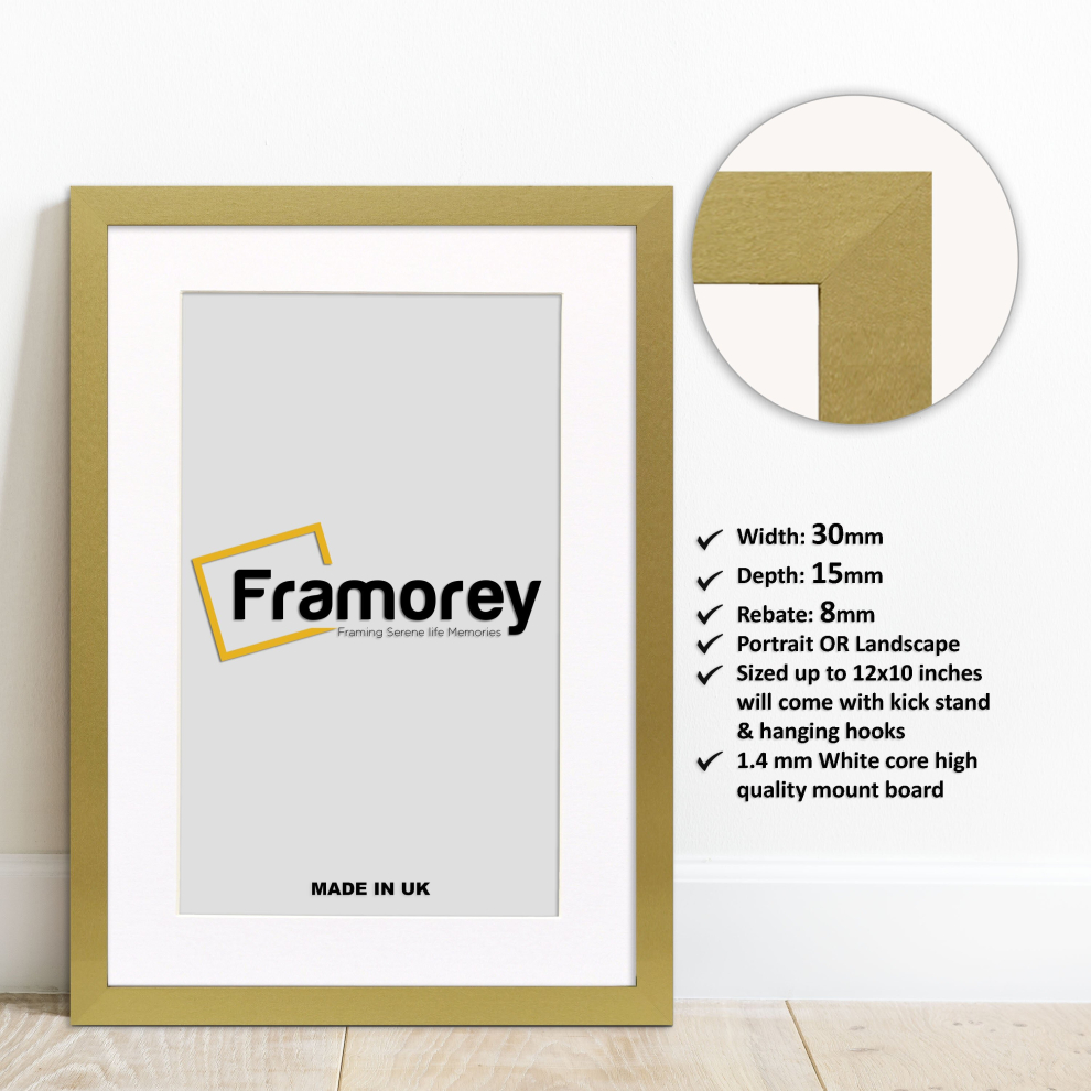(12x8" Pic (14x11" Frame)) Gold Picture Frame Photo Frames With White Mount Wall Art Hanging Frame Home Decor Frame