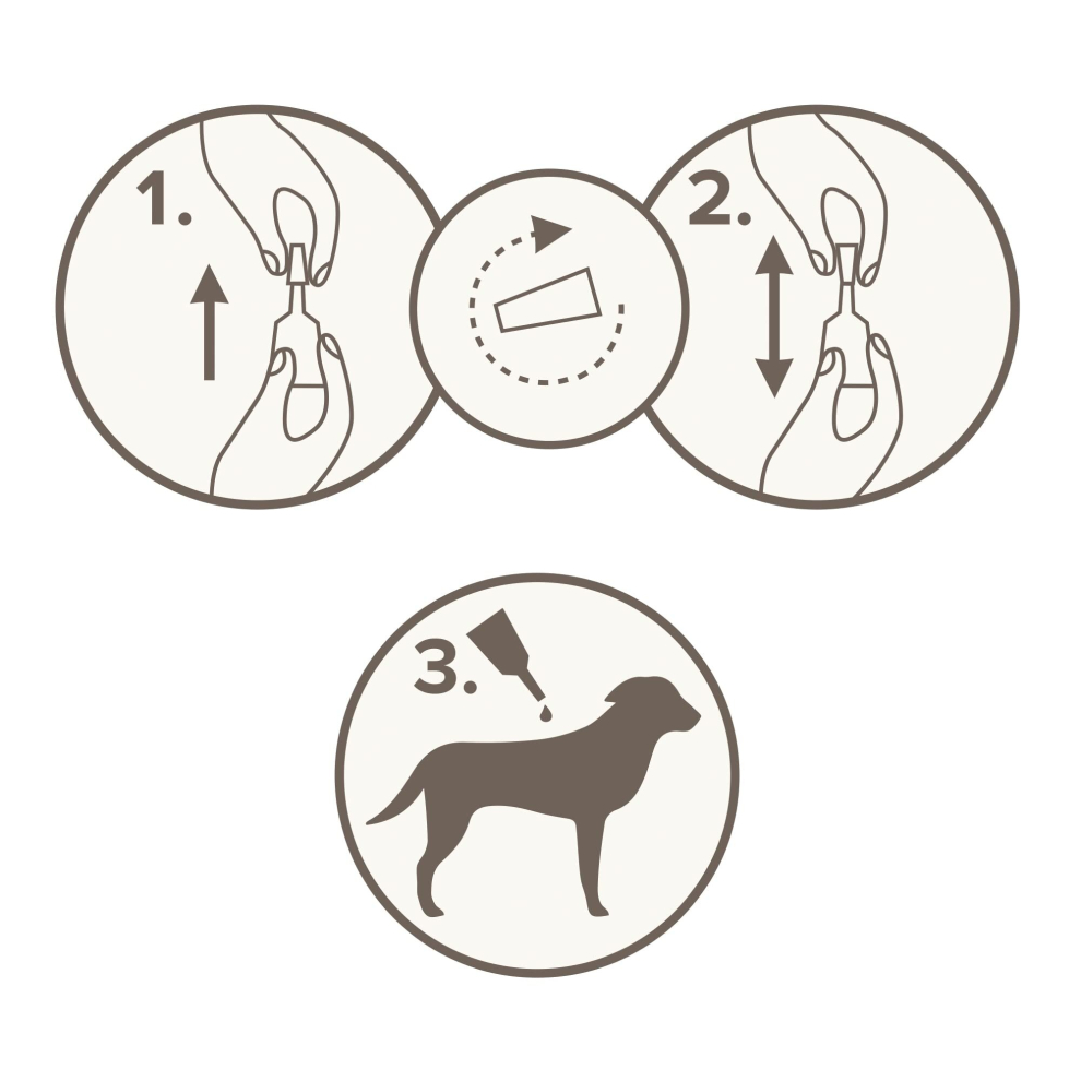Beaphar | Fiprotec Combo For Medium Dogs (10-20Kg) | Kills Fleas, Flea Eggs & Ticks | Stops Fleas Multiplying On Pet And In