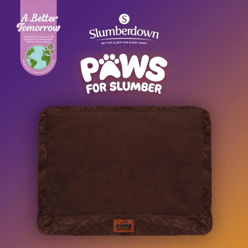 Slumberdown (Chocolate Brown, Medium) Slumberdown Paws for Slumber Pet Bed Cover 1
