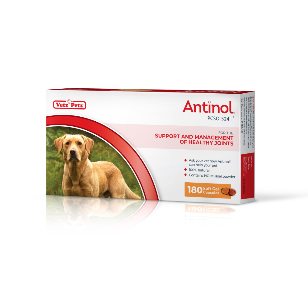 (180 Capsules) Antinol - Natural Joint Supplement for Adult & Senior Dogs - Supports Joint Mobility & Skin Health - With Green Lipped Mussels, Omega 3