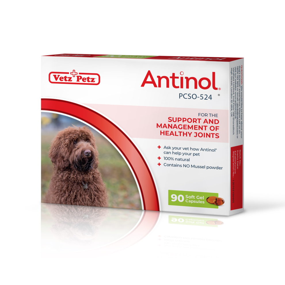 (90 Capsules) Antinol - Natural Joint Supplement for Adult & Senior Dogs - Supports Joint Mobility & Skin Health - With Green Lipped Mussels, Omega 3