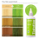 Kiss: Tintation Semi Perm Color 148ml - Lime Light 110 3