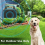 Anti-Barking Device Dog Bark Safety Control Ultrasonic Stop Repeller 4
