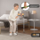 Costway Bed Assist Rail Adjustable Bedside Standing Bar Fall Prevention Safety Hand Bar 4