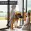 1pc Heavy Duty Magnetic Screen Door With Pet Friendly Retractable Mesh Keep The Bugs Out 8
