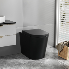Modern Rimless Back to Wall Toilet Bathroom WC Pan Soft Close Seat Matt Black