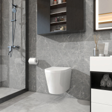 Modern Rimless Wall Hung Toilet White Ceramic WC With Soft Close Toilet Seat