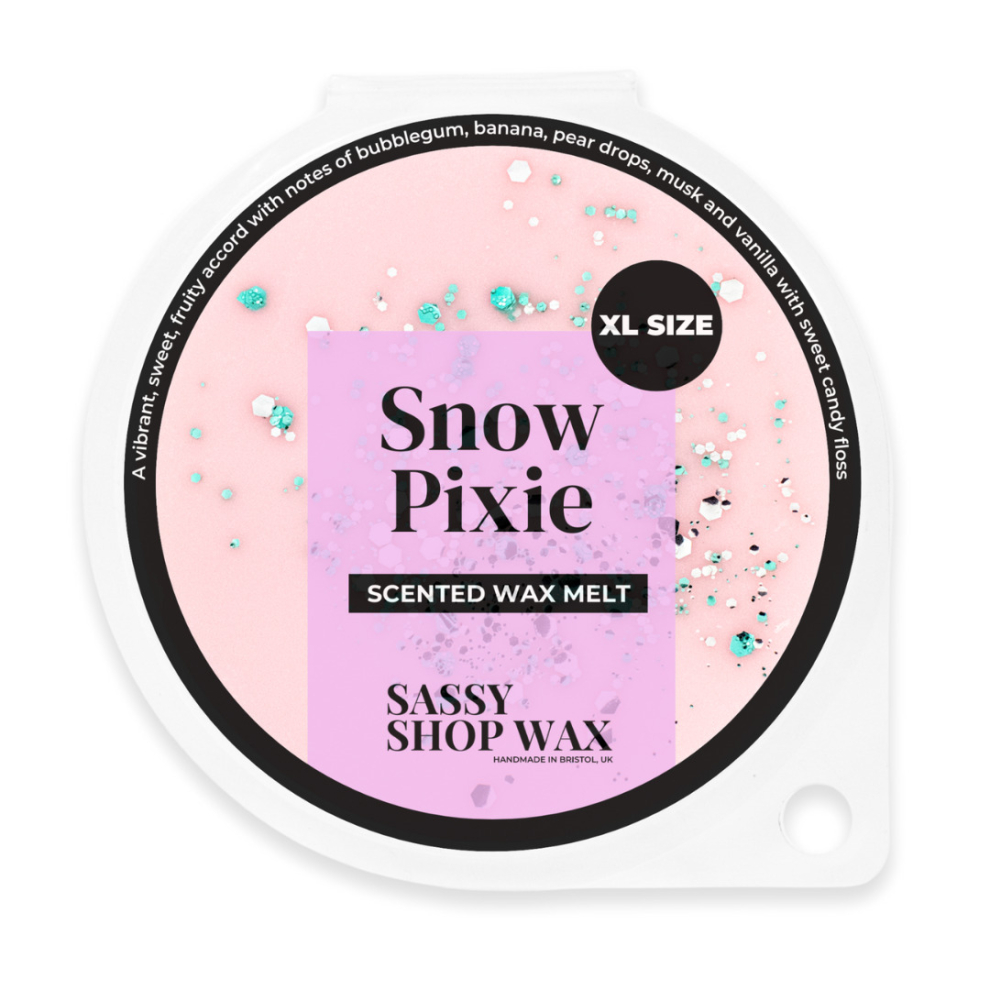 Sassy Shop Wax Melt Pot 70g - Snow Pixie