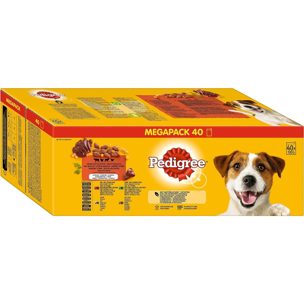 Pedigree Mixed Selection Jelly 40 Pouches Adult Wet Dog Food Megapack