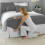 (CHARCOAL, DOUBLE) Hotel Quality Fitted Bed Sheets Single Double King 4