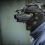 1080P Infrared Digital Night Vision Scopes Monocular 8