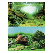 (Design C - Planted, Size 3 - 100 x 49cm) SuperFish Deco Poster Aquarium Background