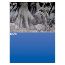 (Design D - Roots/Blue, Size 4 - 120 x 49cm) SuperFish Deco Poster Aquarium Background