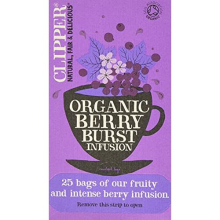 Organic Berry Burst Tea Bags | 150 Infusion Blackcurrant & Mix Fruit Teabag Sachets (6x Boxes of 25) | Bulk Buy, Home &