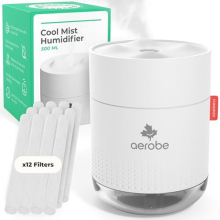 Air Humidifier For Bedroom Cough - Cool Mist Humidifiers For Home Mini Humidifier Plant Humidifier For Indoor Plants