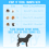 Bunty (Large, Blue) Adjustable Step in Pet Puppy Dog Harness Vest 2