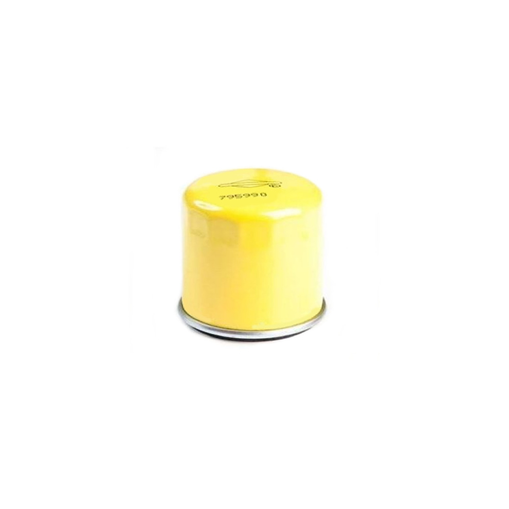 Briggs & Stratton Oil Filter fits 800E, 850E & 875EX p/n 795990