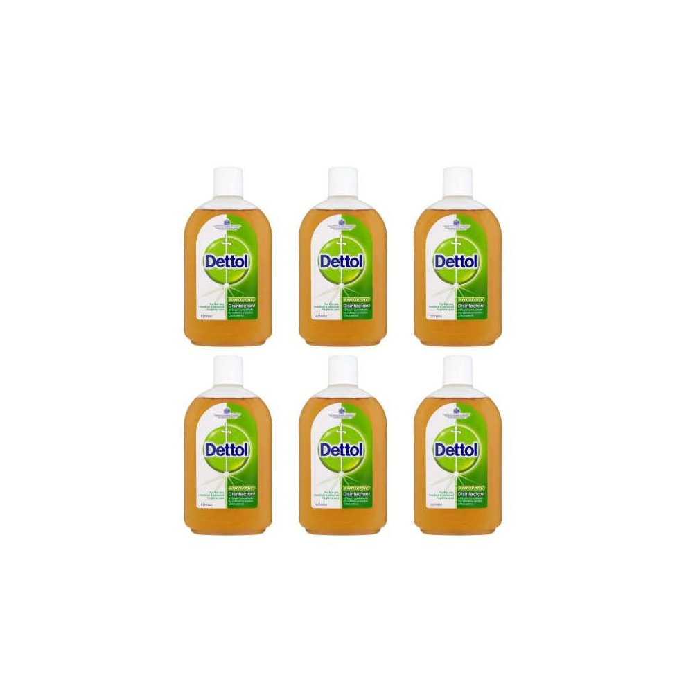 Dettol Antiseptic Disinfectant Liquid 750ml (Pack of 6)