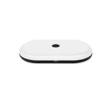 Car Oval Reading Lamp Dome Light