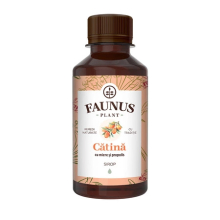 Sea buckthorn syrup with honey & Propolis, 200 ml for immune system