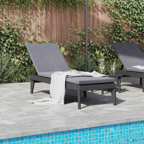 VidaXL vidaXL Sonnenliege Anthrazit 186x60x29 cm PP 2