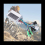 1 Pcs 36V 17A 250W/350W Motor Controller E-Bike Brushless Speed Controller 6