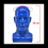 Male Mannequin Head Professional Manikin Head (Blue) 5