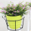 4Pcs Hanging Railing Planters Pot Holders Plant Iron Racks Small 4