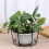 4Pcs Hanging Railing Planters Pot Holders Plant Iron Racks Small 5