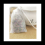 Empty Scented Tea Bags with String Seal Filters for Loose Teas 6