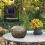 Smart Garden Solar Powered Replacement Round LED Light Box 8