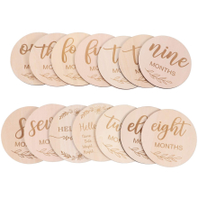 14Pcs Wooden Baby Monthly , for Photo Props