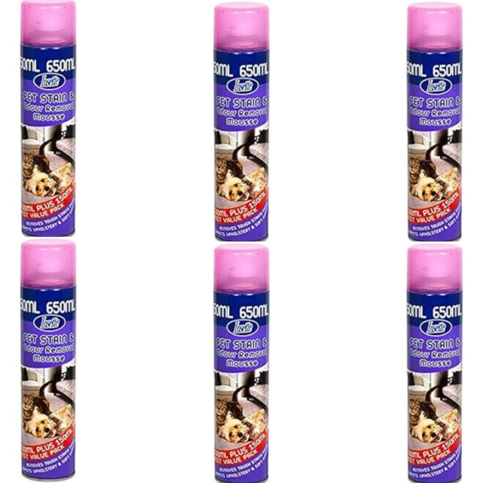 Insette Pet Stain and Odour Remover Aerosol 500ml (Pack of 6)